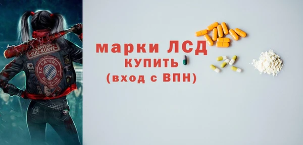 соль ск Новодвинск