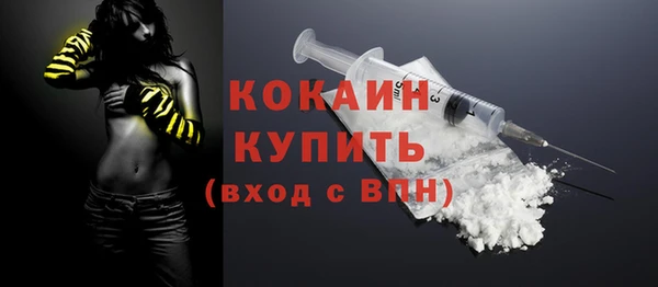 соль ск Новодвинск