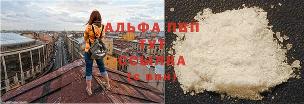 соль ск Новодвинск