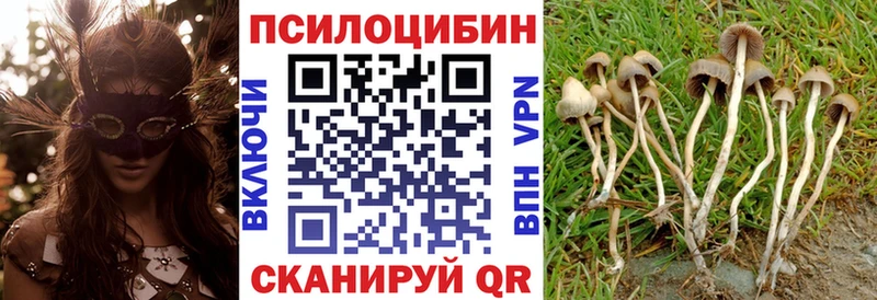 Псилоцибиновые грибы MAGIC MUSHROOMS  маркетплейс клад  Сатка  где купить   kraken как войти 
