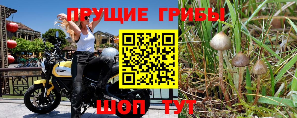 Сатка  Галлюциногенные грибы прущие грибы  Вход с VPN 