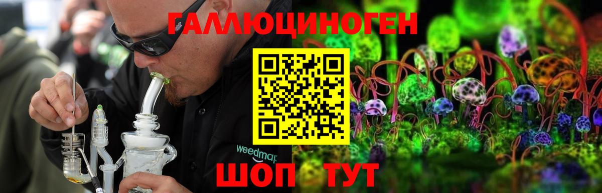 Псилоцибиновые грибы мицелий Сатка